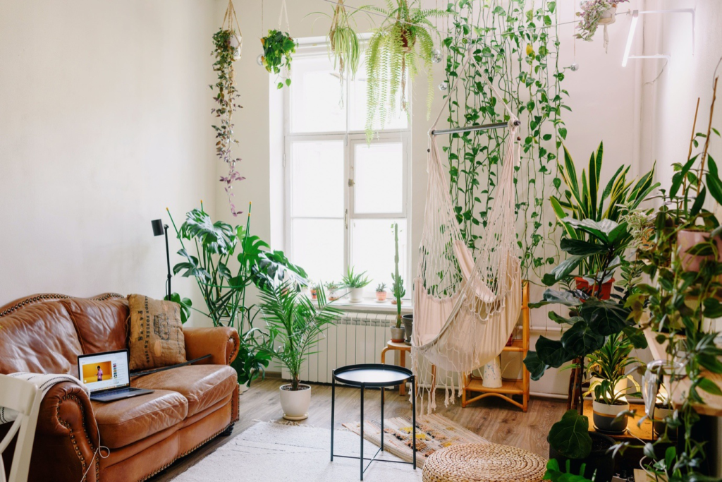 A living room with subtle interior paint and plants