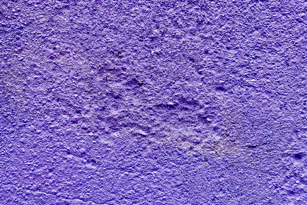 A purple wall painted by a residential painter in CA