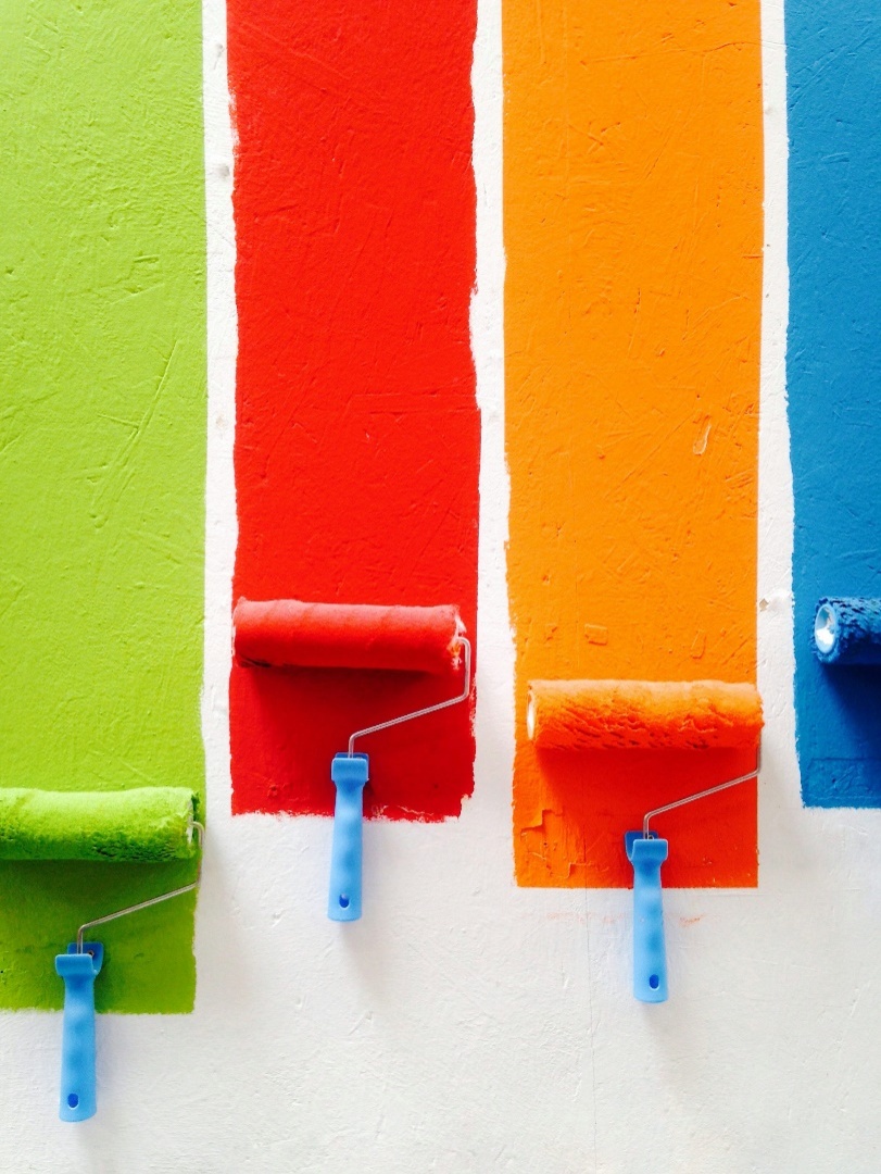 Paint swatches on a wall displaying different colors