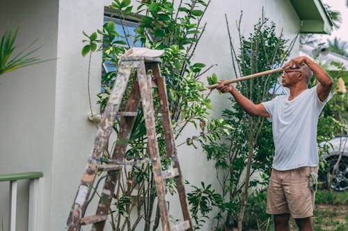 Professional exterior house painter applying fresh paint to the exterior wall of a commercial building.