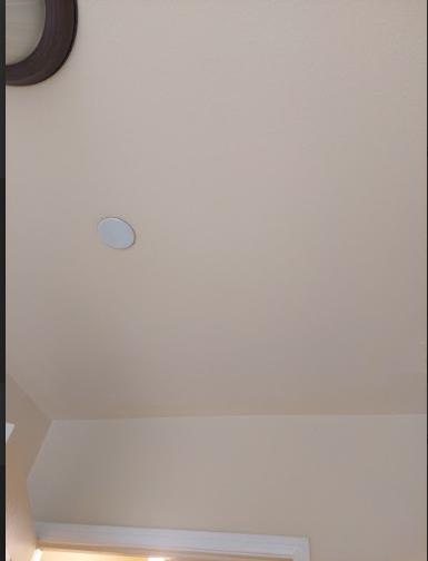a neutral-hued ceiling.