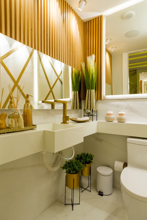 a modern bathroom space with plants. 