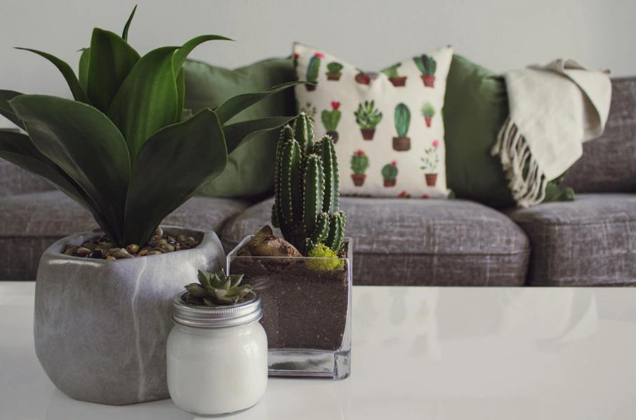 A house following 2025 décor trends.